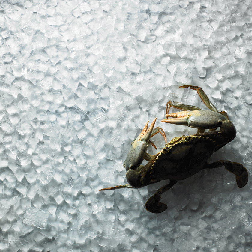 Fresh South Australian crab at Magill Estate Restaurant 