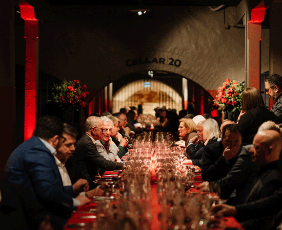 Group of people dining on a long table in a wine cellar