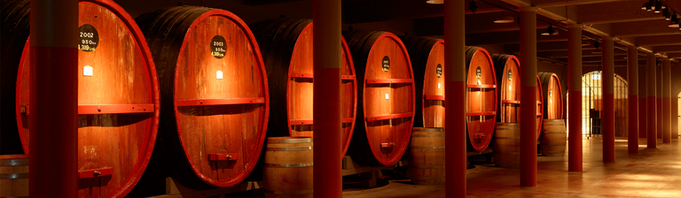 Large, aged St Henri barrels in the historic tunnels of Penfolds Magill Estate