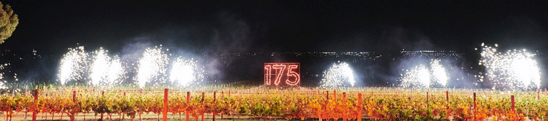 Fireworks over the vineyard, including 175 sign 