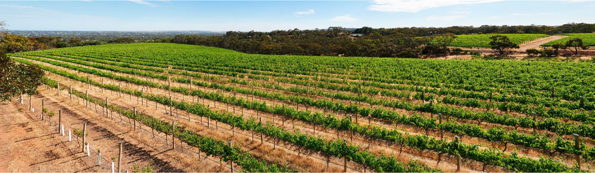 McLaren Vale Biodiversity Project 