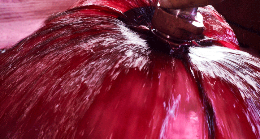 Pump over in the winery.  Red shiraz liquid is being poured over the fermenting grapes