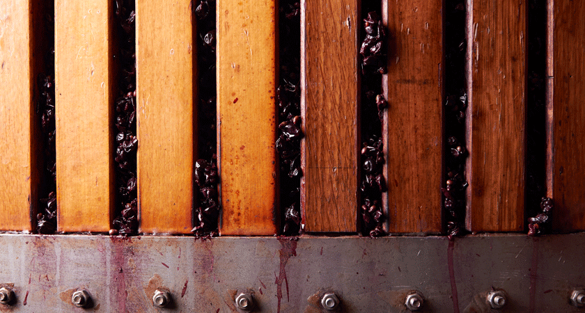 Close up of wooden basket press. Shiraz grapes ooze out between the gaps