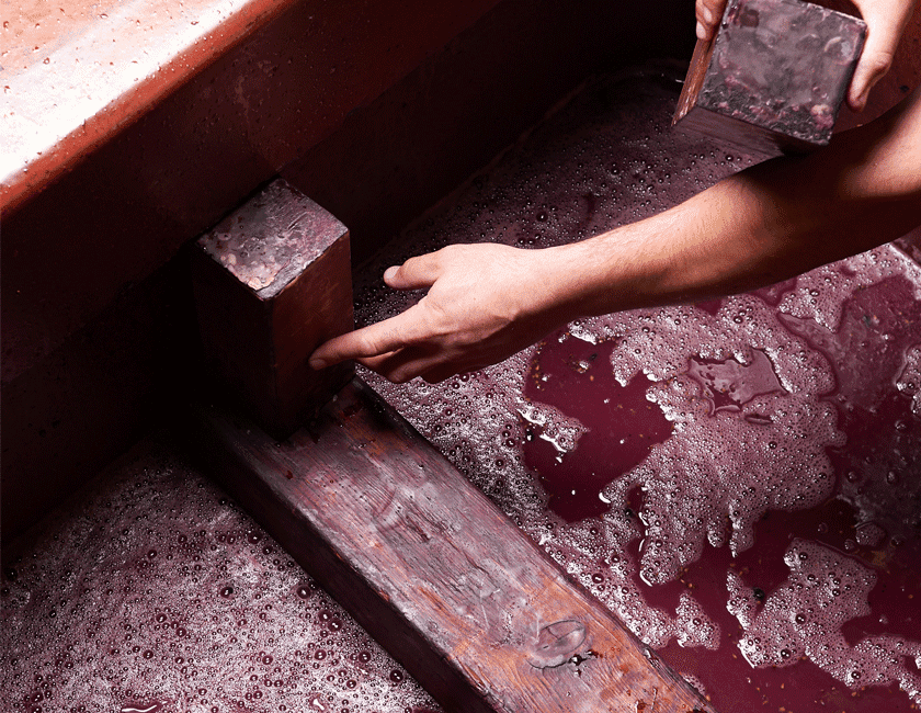 Wooden header boards being added over fermenting grapes