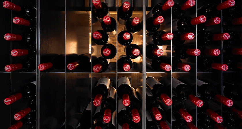Red tops of Magill Estate bottles on shelves