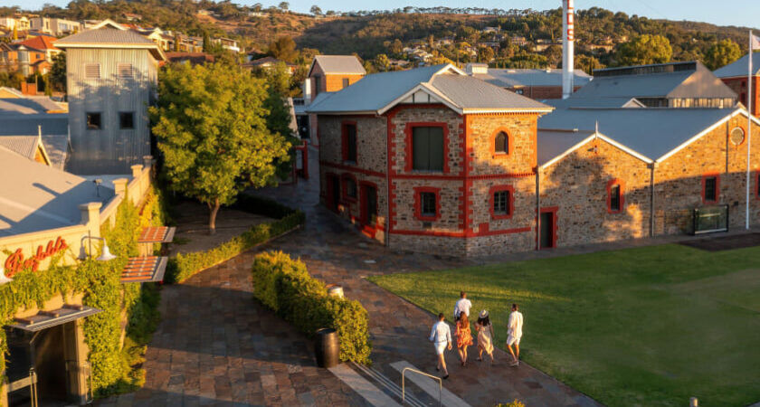 Image of Magill Estate Cellar Door