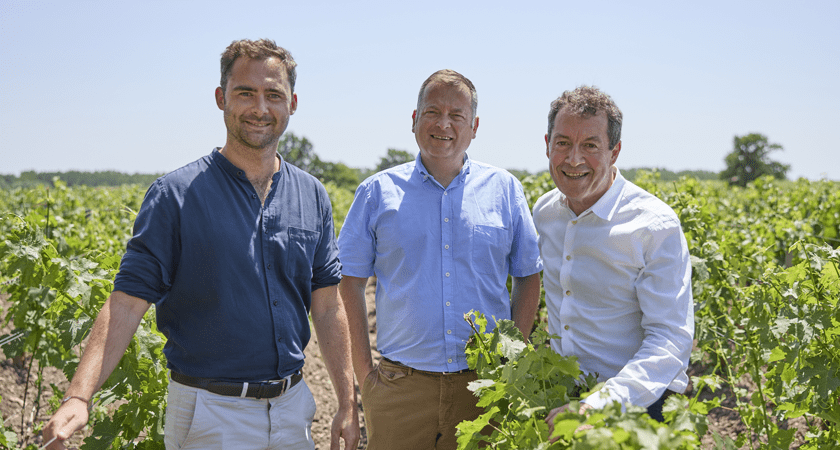 Three winemakers stand amongst vines