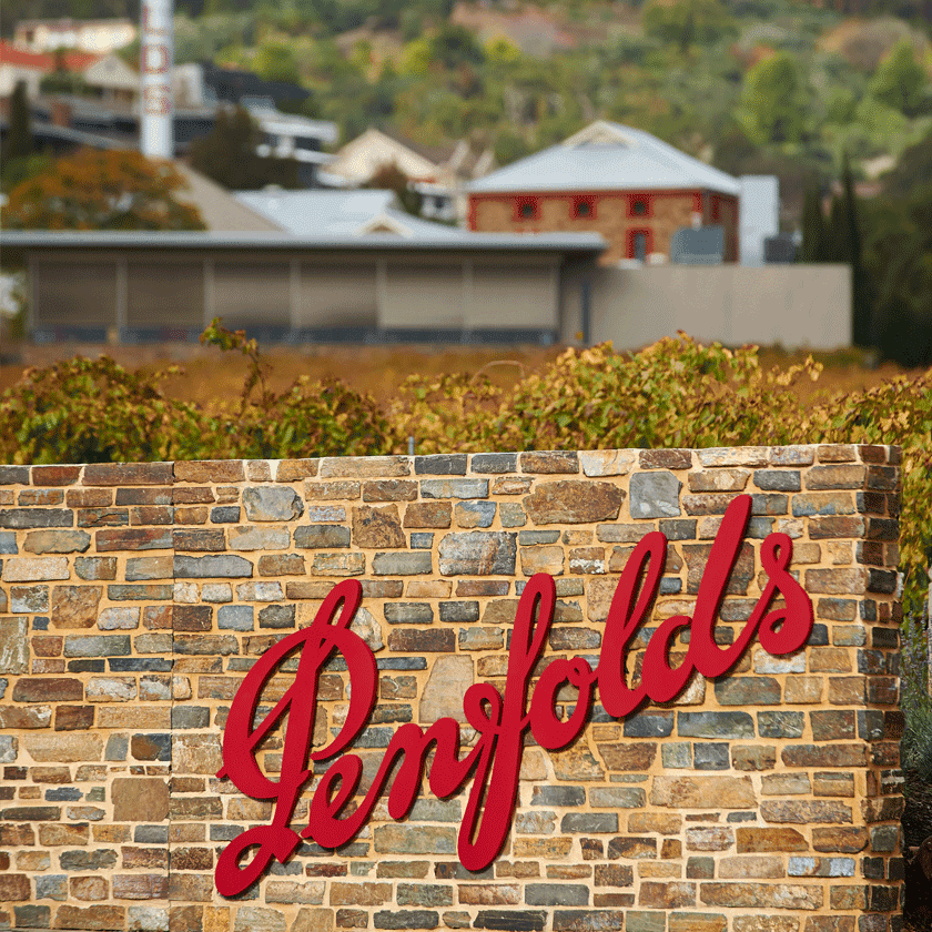 magill estate cellar door penfolds penfolds wines