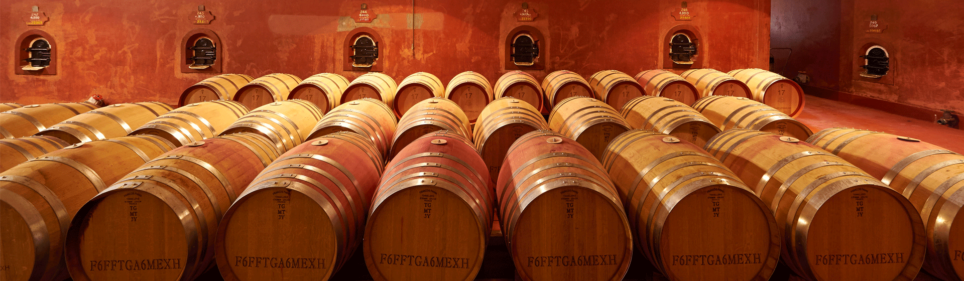 Rows of barrels in Magill Estate