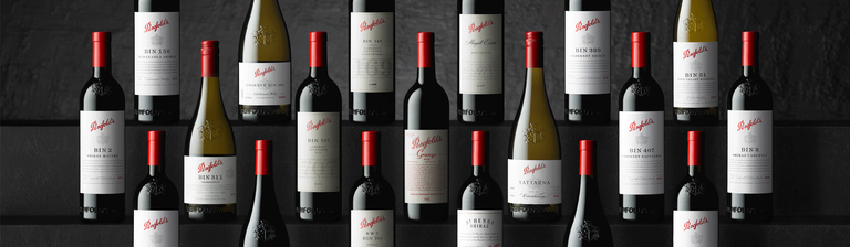 Rows of Penfolds bottles against dark background