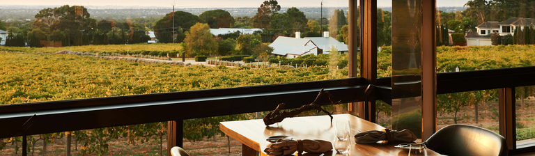 The view over the vines from Magill Estate Restaurant