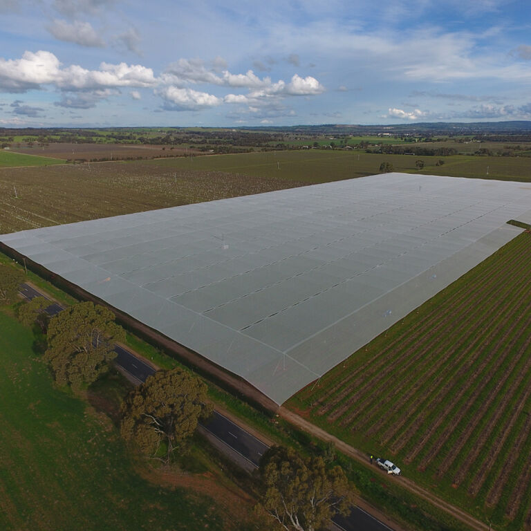 Climate Adaption in the vineyards with Penfolds wines