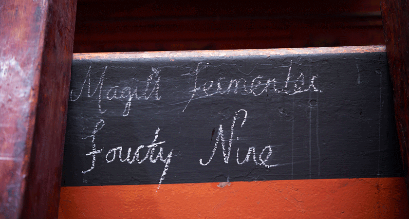 Close up of handwritten chalk sign in the winery.  It reads 'Magill Fermenter Forty Nine'