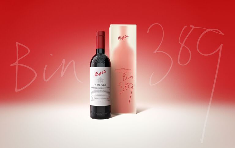 Penfolds Bin 389 Designed by Troye Sivan