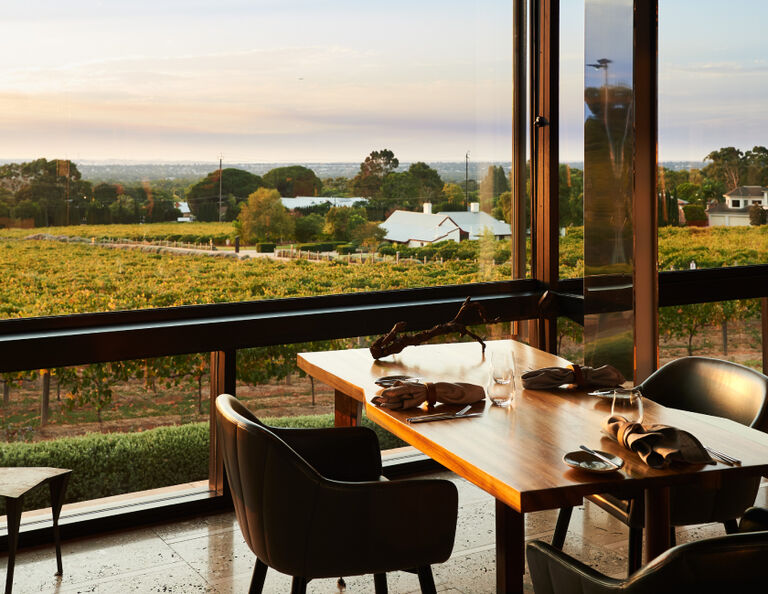 View of vineyards from Magill Estate Restaurant