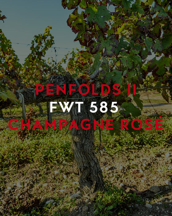 Penfolds Vineyard in France