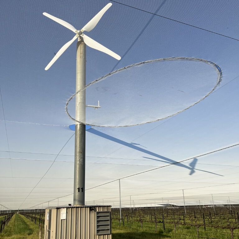 Windmills in the vineyards with Penfolds